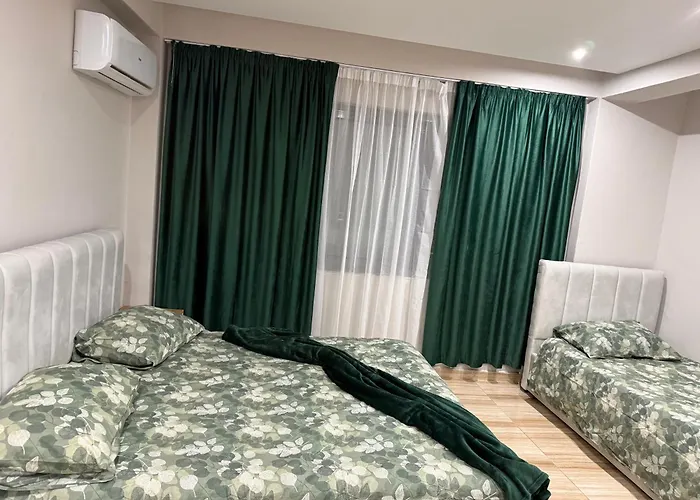 One Bedroom With Kitchen 公寓 *