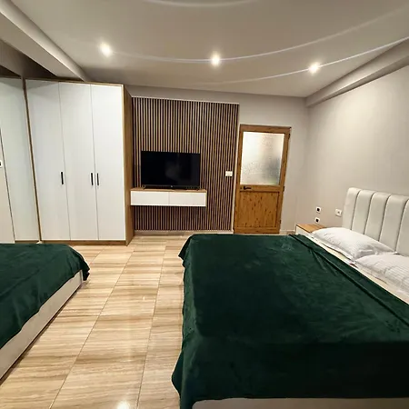 Paco 1 With Kitchen Daire
